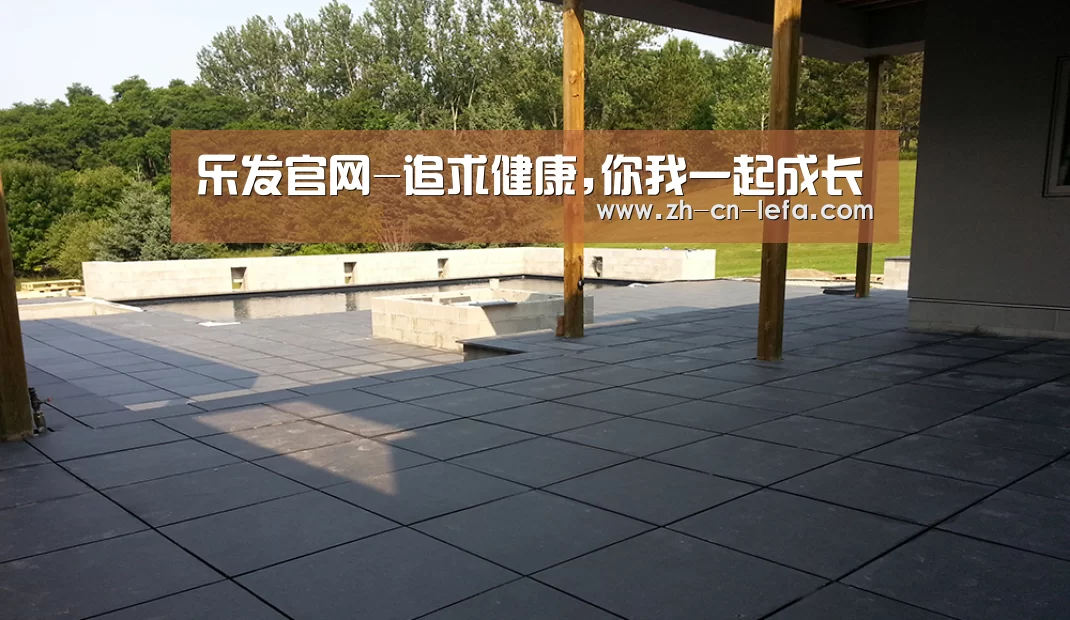 多伦多别墅花园(图2)