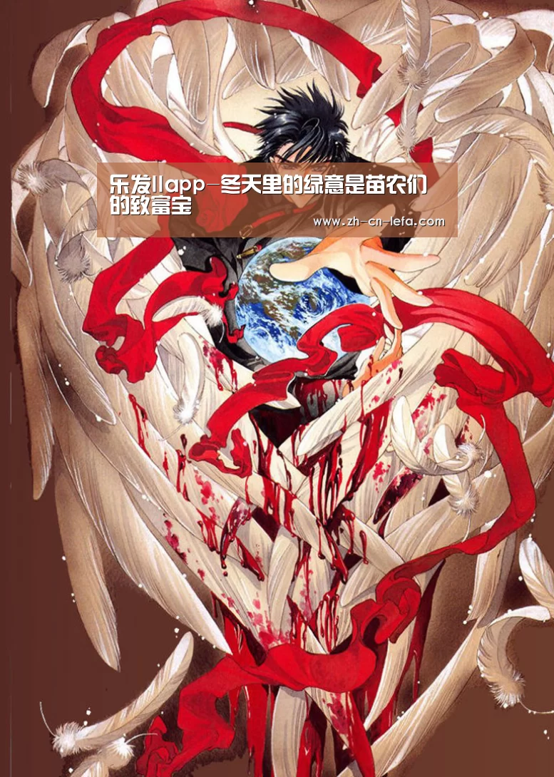 乐发IIapp-冬天里的绿意是苗农们的致富宝