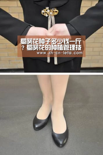 蜀葵花种子多少钱一斤?蜀葵花的种植管理技巧有哪些?|乐发IIapp(图1) 乐发IIapp