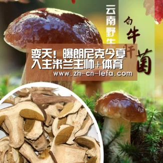 变天!曝朗尼克今夏入主米兰主帅+体育主管一肩挑:乐发IIapp(图4) 乐发IIapp