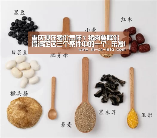 重庆现在猪价怎样?猪肉要降价得满足这三个条件中的一个-乐发IIapp(图1) 乐发IIapp