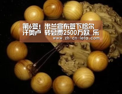 乐发IIapp
