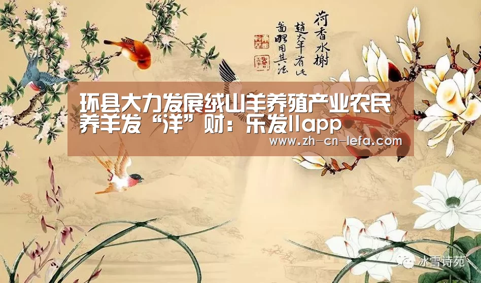乐发IIapp