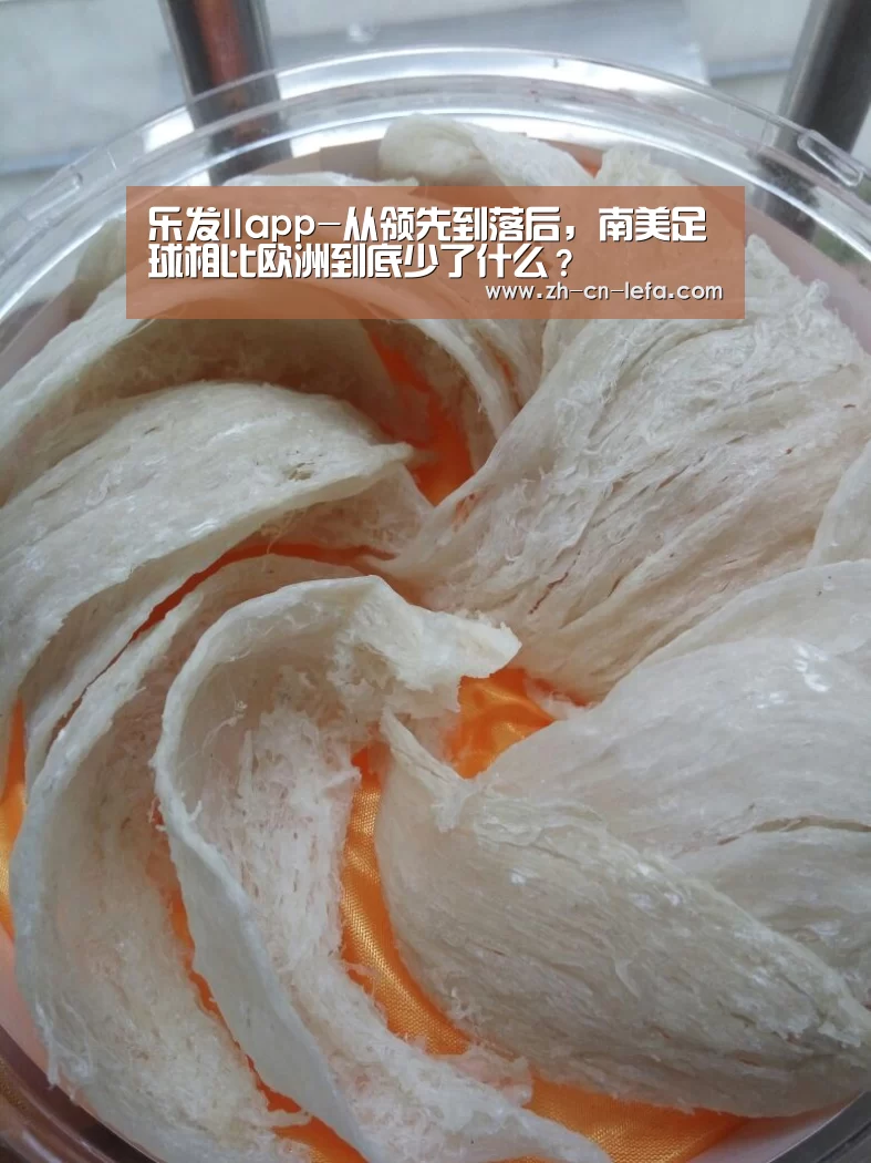 乐发IIapp-从领先到落后,南美足球相比欧洲到底少了什么?(图2) 乐发IIapp