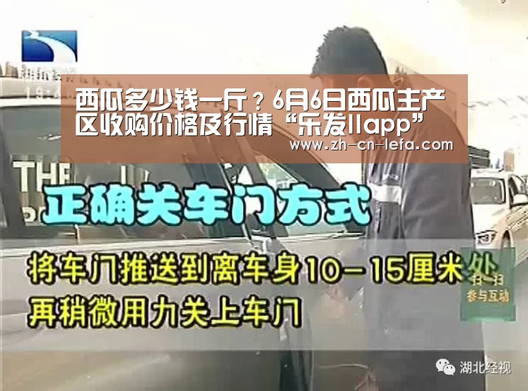 西瓜多少钱一斤?6月6日西瓜主产区收购价格及行情“乐发IIapp”(图1) 乐发IIapp