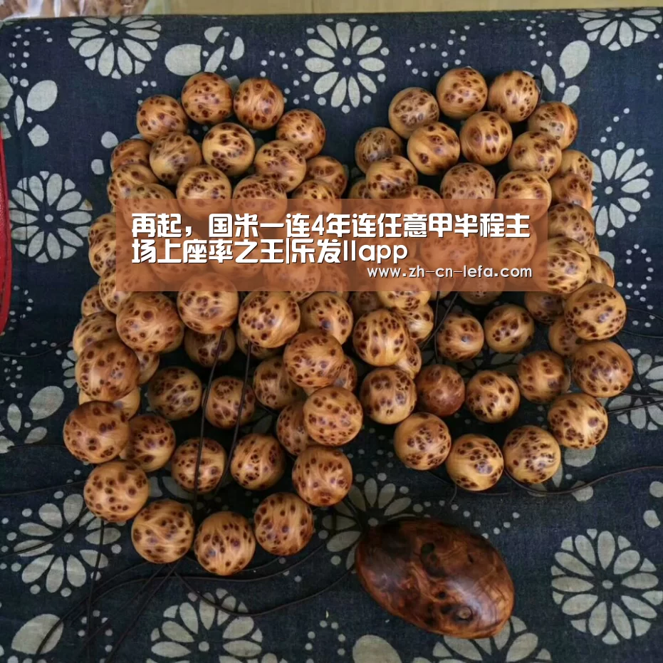 再起,国米一连4年连任意甲半程主场上座率之王|乐发IIapp(图2) 乐发IIapp