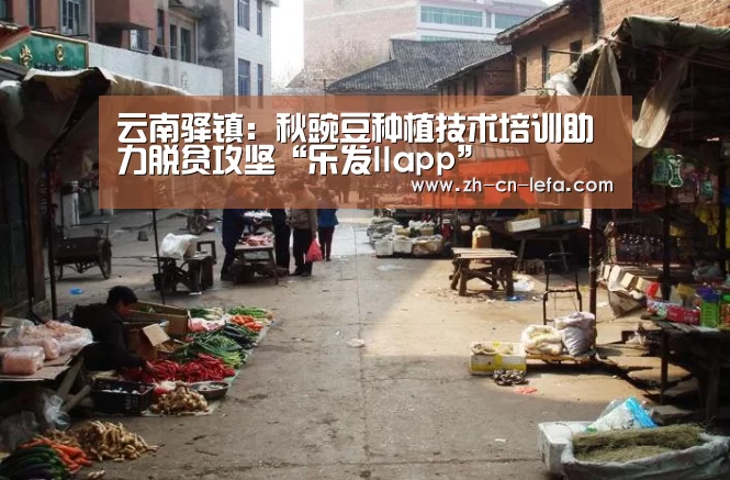 乐发IIapp