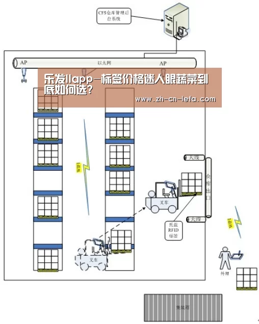 乐发IIapp-标签价格迷人眼蔬菜到底如何选?(图2) 乐发IIapp