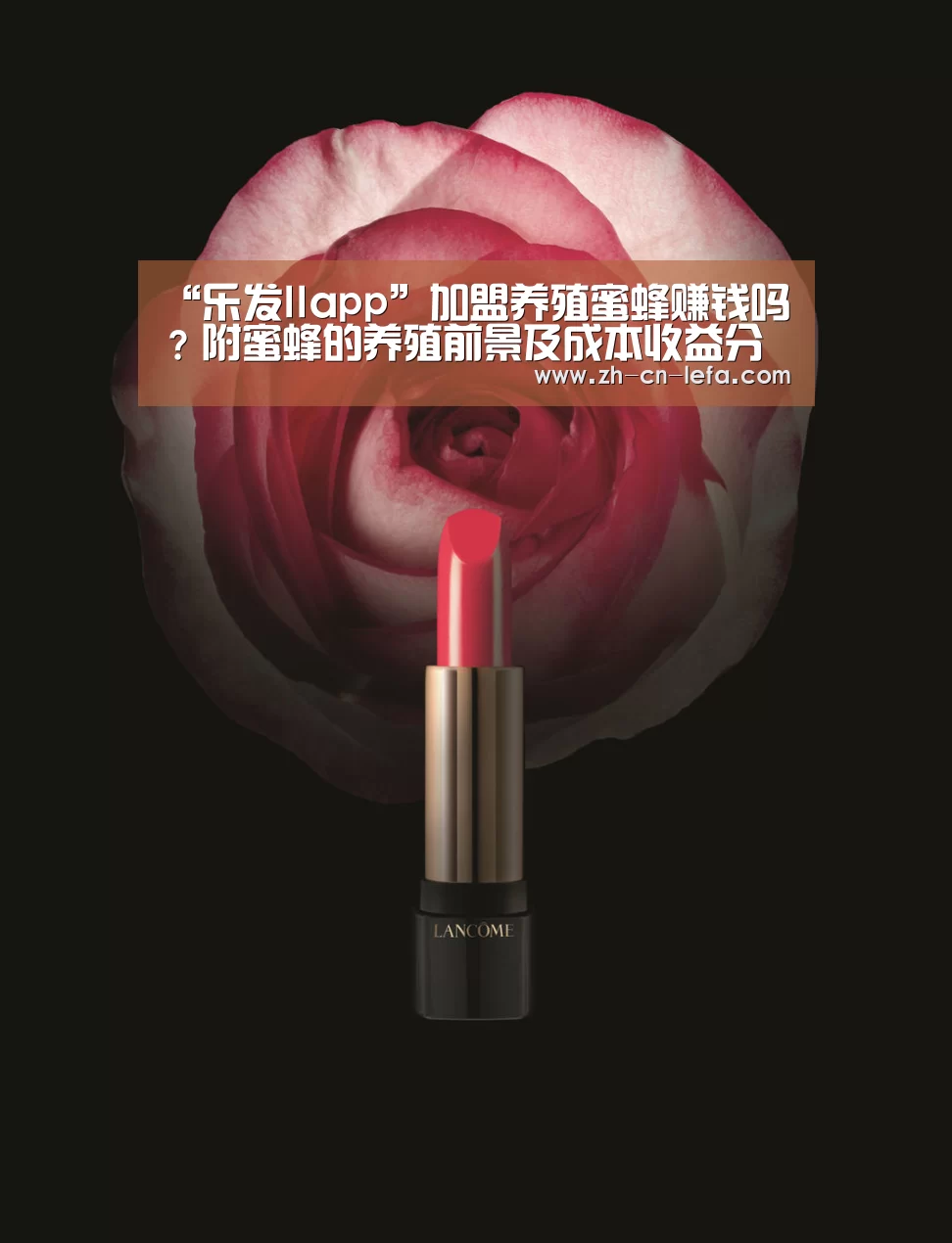“乐发IIapp”加盟养殖蜜蜂赚钱吗?附蜜蜂的养殖前景及成本收益分析(图2) 乐发IIapp